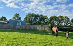 Wee Shepherds Hut Maybole